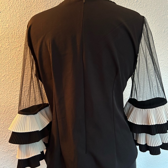 EUC Classy Black Blouse with Sheer and Ruffled Sleeves - Picture 3 of 3
